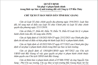 Tỉnh Bắc Giang xử phạt Công ty Cổ phần Bến Thủy 350 triệu đồng