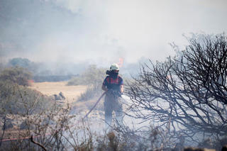 Biến đổi khí hậu thúc đẩy cháy rừng ở châu Âu