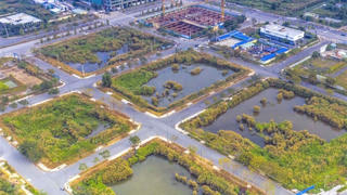 Bài học từ đấu giá đất Thủ Thiêm