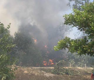 Quảng Nam: Cháy rừng phòng hộ Pacsa gây thiệt hại hơn 20 ha rừng