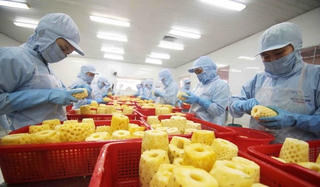Kỳ vọng kim ngạch thương mại Việt Nam – Hàn Quốc đạt 100 tỷ USD vào năm 2023 và 150 tỷ USD vào năm 2030