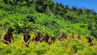 Khi người Cơ Tu 'hô biến' cây dại thành đặc sản