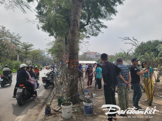 Lê rừng hút khách chơi sau Tết