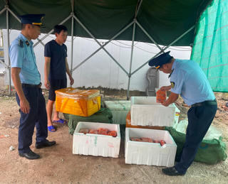 Quảng Ninh: Phát hiện gần 1 tấn trứng gà non không rõ nguồn gốc, xuất xứ