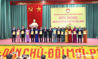 Ủy ban Mặt trận Tổ quốc Việt Nam tỉnh Thái Nguyên có 11 ban, đơn vị