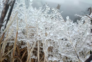 Từ 17/12, miền Bắc rét đậm rét hại, có nơi dưới 0 độ C