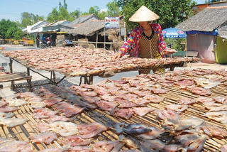Nghề làm khô cá lóc vào vụ Tết