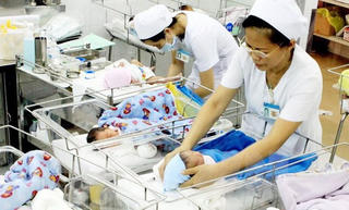 Ổn định mức sinh thay thế