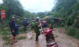 Mưa giông quét qua Ninh Bình, nhiều cây xanh bị gãy đổ