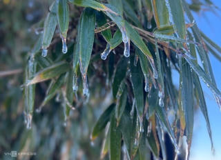 Không khí lạnh gây rét đậm, đỉnh Sa Pa có nơi xuống 4 độ