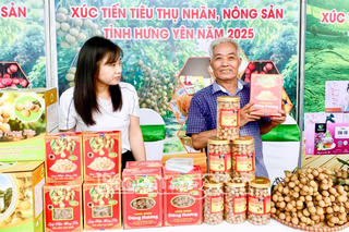 Nỗ lực xúc tiến đưa trái nhãn vươn xa