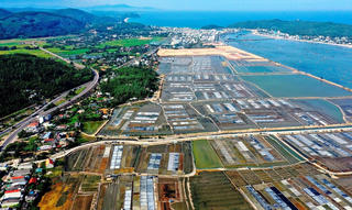 Quảng Ngãi: Nghề muối Sa Huỳnh được Công nhận Di sản văn hóa phi vật thể quốc gia