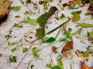 Yên Bái: Xuất hiện dông lốc, mưa đá lớn