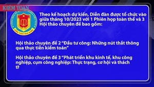 [VIDEO] Diễn đàn: "Phát hiện những nút thắt trong thúc đẩy phục hồi và phát triển kinh tế - Vai trò của Kiểm toán nhà nước"
