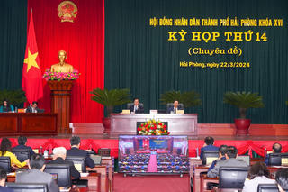Hải Phòng được thưởng trên 920 tỷ đồng từ vượt thu hoạt động xuất nhập khẩu