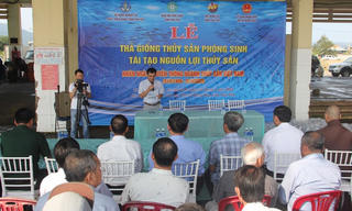Phú Yên: Thả một triệu con giống tôm sú post 15, tái tạo nguồn lợi thủy sản
