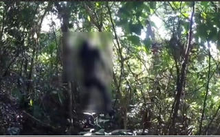 Phú Thọ: Nhắn tin cho anh trai rồi treo cổ tự tử