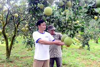 Làm giàu từ nghề nông: Tại sao không?