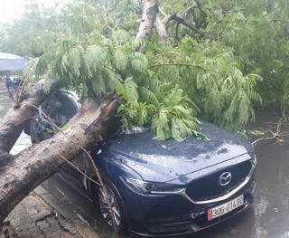 Hà Nội: Cây đổ đè xe ô tô đậu bên đường sau cơn mưa giông
