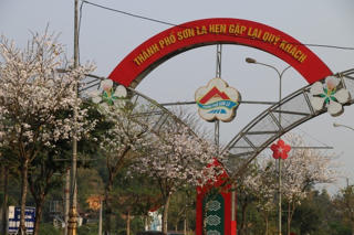 Sơn La: Lễ hội 'Mùa hoa ban 2023' sẽ diễn ra từ ngày 11/3