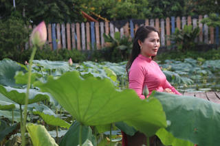 Người dân từ các tỉnh lân cận đổ về Hà Nội chụp ảnh mùa sen