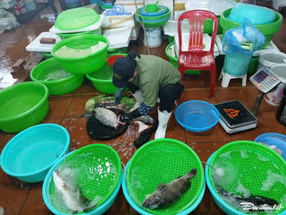 Quảng Ninh: Hải sản khan hiếm, giá tăng cao do biển động