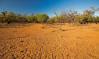 Cảnh báo El Nino gây nắng nóng kỷ lục trong thời gian tới