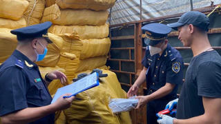 Kiểm tra chuyên ngành: Vẫn phức tạp và phiền hà