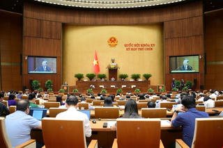 Quốc hội thông qua “1 luật sửa 5 luật” trong lĩnh vực tư pháp