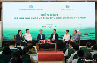 Nâng tầm sản phẩm chè Việt Nam