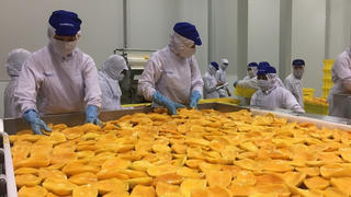 Nông sản Việt chinh phục thị trường tỷ đô