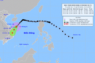 Bão số 7 suy yếu thành áp thấp nhiệt đới vào sáng 12/11