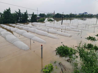 Mặt trận tỉnh Nam Định phân bổ 8 tỷ đồng hỗ trợ khắc phục hậu quả thiên tai