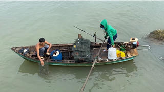 Săn cua đá nơi biển Tây