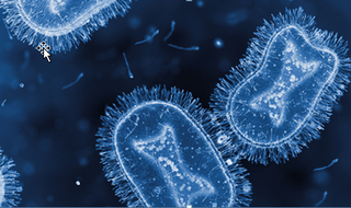 Nhiều khả năng 2 trường hợp mắc bệnh đậu mùa khỉ mới đây là các ca bệnh nội địa