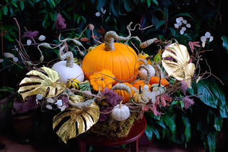 Cận cảnh những set bí ngô Halloween tiền triệu đắt khách