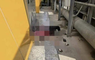 Vụ cô gái bị sát hại tại trung tâm thương mại: Nghi phạm từng có 2 tiền án