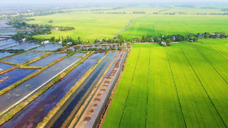 Huy động nguồn lực cho nông nghiệp thuận thiên tại Đồng bằng sông Cửu Long