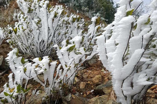 Cảnh giác thời tiết nguy hiểm gây hại nhiều địa phương