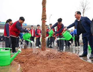 Ngành Giáo dục Thủ đô phấn đấu trồng mới 150.000 cây xanh