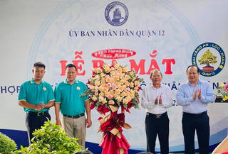 TP HCM: Thành lập hợp tác xã mai vàng An Lộc Xuân, Quận 12