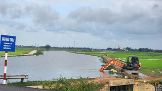 Hàng nghìn ha lúa Đông Xuân ở Quảng Trị bị ngập nước đang xử lý thế nào?
