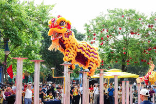 Mãn nhãn với những màn tranh tài Lân Sư Rồng tại Hạ Long