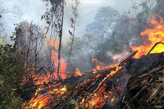 Nắng nóng gay gắt liên tục, đề phòng cháy rừng