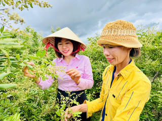 Người dân vùng biên giới Ea Súp (Đắk Lắk) thoát nghèo nhờ nguồn vốn Chính sách xã hội