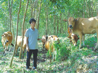 Khí chất của Hồ Phình