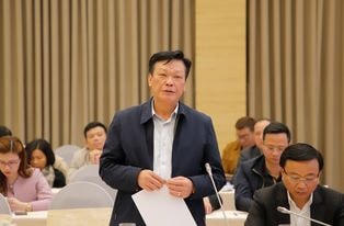  Quý 2 trình Chính phủ Nghị định về bảo vệ cán bộ dám nghĩ, dám làm