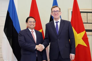Việt Nam mong muốn Estonia chia sẻ kinh nghiệm quý báu về chuyển đổi số