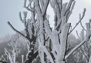 Xuất hiện băng giá và sương muối tại vùng cao tại Lào Cai, Yên Bái