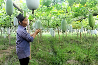 Sắp diễn ra ‘Tuần Văn hóa - Du lịch Bắc Kạn’ năm 2023